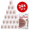 Set risparmio Royal Canin 24 x 85 g