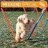 Set slalom modulare per Agility dog