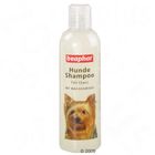 Shampooing brillant pour chien Beaphar
