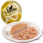 Sheba Essence 6 x 85g Trays