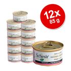 Sparpaket Schesir in Gelee 12 x 85 g