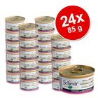 Úsporné balení Schesir v želé 24 x 85 g