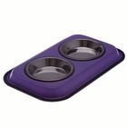 Stainless Steel Dual Bowl
