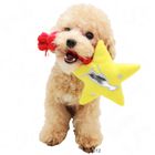 Star Best Dog
