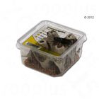 Steppengrille mittel Lebendfutter