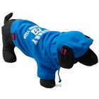 Sweat shirt avec capuche pour chien Rodney Hoody  bleu roi