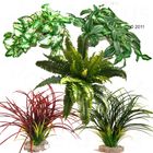 Sydeco Kunstpflanzenset für Terrarien ab 100 cm