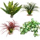 Sydeco Kunstpflanzenset für Terrarien ab 60 cm