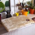 Tapis de fenêtre Plüschi