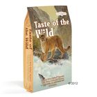 Taste of the Wild - Canyon River Feline