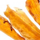 Tendons d'autruche pour chien CANIBIT