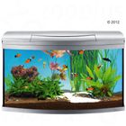 Tetra AquaArt Aquarium Komplett-Set 100 l