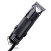 Tondeuse pour chien Oster Golden A5