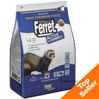 Totally Ferret Active