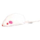 Toy Mouse with Squeaker