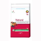 Trainer Natural Medium bœuf, riz, ginseng pour chien