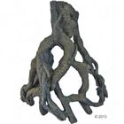 Tree Root - Large