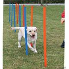 Trixie agility parcours slalom-stangen