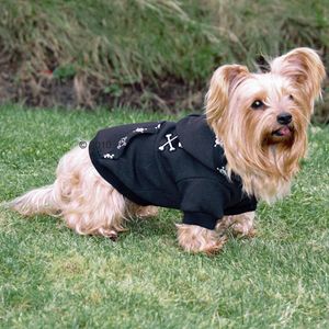 192122_trixie_north_bay_1.jpg