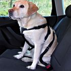 Trixie Dog Car Harness