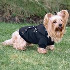 Trixie Kapuzenpullover North Bay