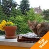 Trixie kattenbeschermnet transparant