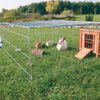 Trixie-aitaus verkkokatolla, nelikulmainen