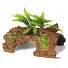 Tronco de madera de deriva con plantas