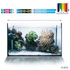 Tube T5 Arcadia Marine White