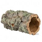 Taille maximum lapin nain