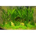 Unterwasserlandschaft Gesellschaftsaquarium Eckquarium