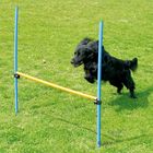 Valla de salto de Agility Fun & Sport