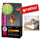 Veľké balenie Eukanuba + Psia deka Barney zdarma!