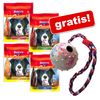 Veľké balenie Rocco Chings + Trixie gumená loptička zdarma!