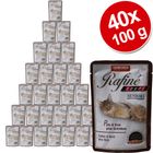 Velké balení Animonda Rafiné Soupé Senior, 40 x 100 g