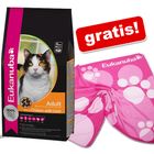 Velké balení Eukanuba + deka Eukanuba zdarma!