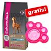 Velké balení Eukanuba + Eukanuba plavací tlapka zdarma!