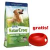Velké balení Happy Dog + plastová miska zdarma !