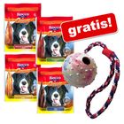 Velké balení Rocco Chings + Trixie míček zdarma!