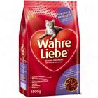 Wahre Liebe ikääntyville kissoille