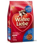 Wahre Liebe pour chaton