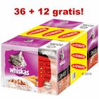Whiskas w saszetkach gwarantujących świeżość 48 x 100 g