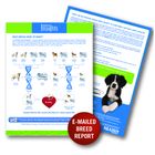 Wisdom Panel® Insights Dog DNA Test Kit