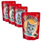 4 x 100 g Catessy