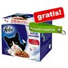 24 x 100 g Felix kapsičky + Moderní přívěsek na klíče zdarma