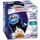 24 x 100 g Felix 