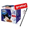 24 x 100 g Felix Pouches + Katzenangel gratis!