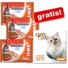 12 x 100 g Iams + kalendarz Cute Cats gratis!
