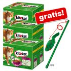 72 x 100 g Kitekat kapsička + udice na hraní zdarma!