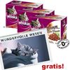 36 x 85 g Whiskas Mmmmm Frischebeutel + Kalender gratis!